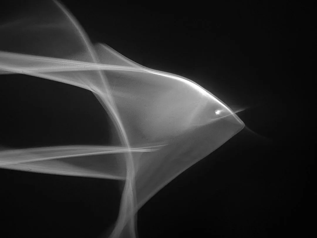 Soft white light trails forming a bird-like shape on black