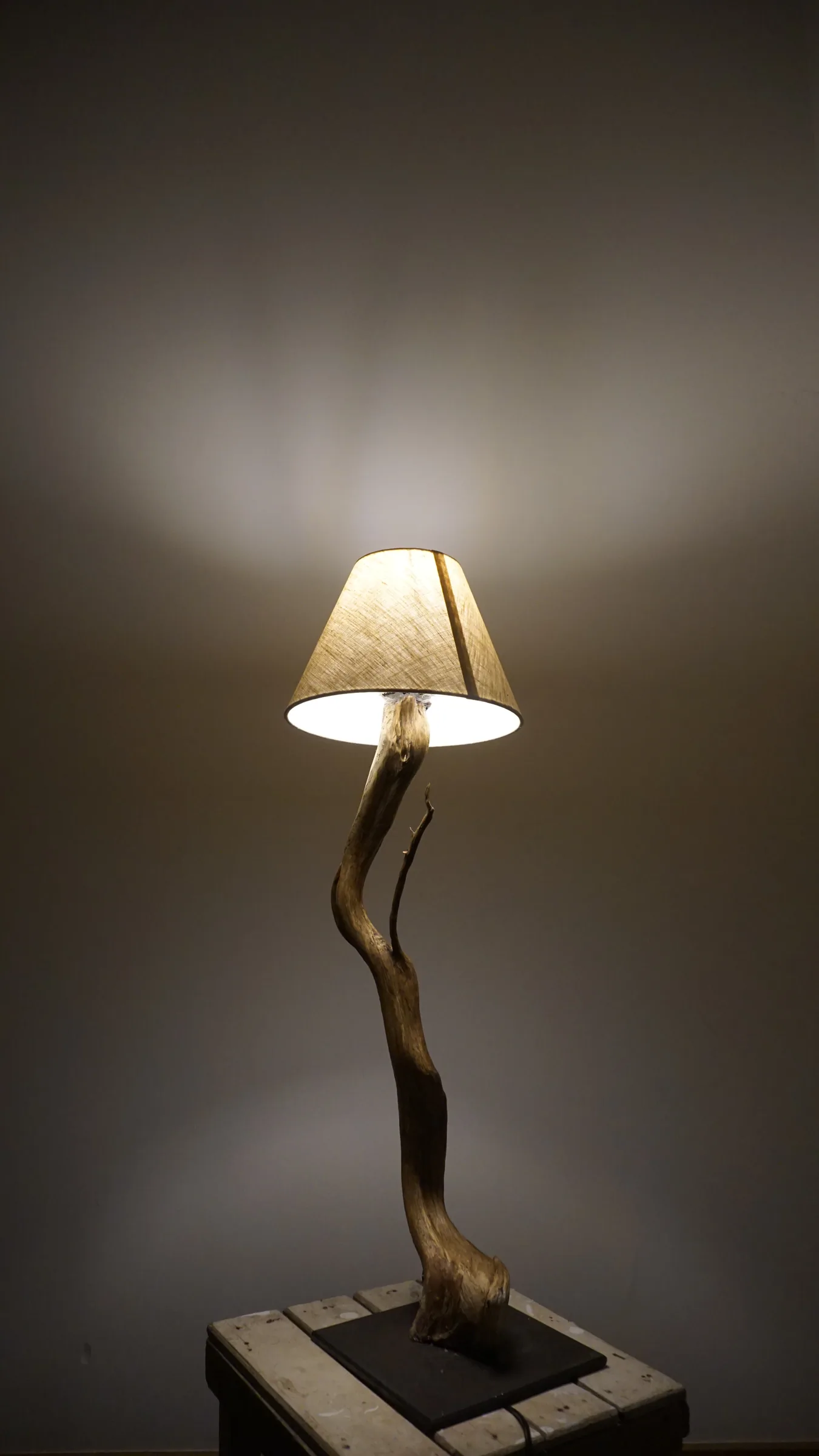 Table lamp with a twisted wooden branch base and a fabric shade, glowing in a dark room