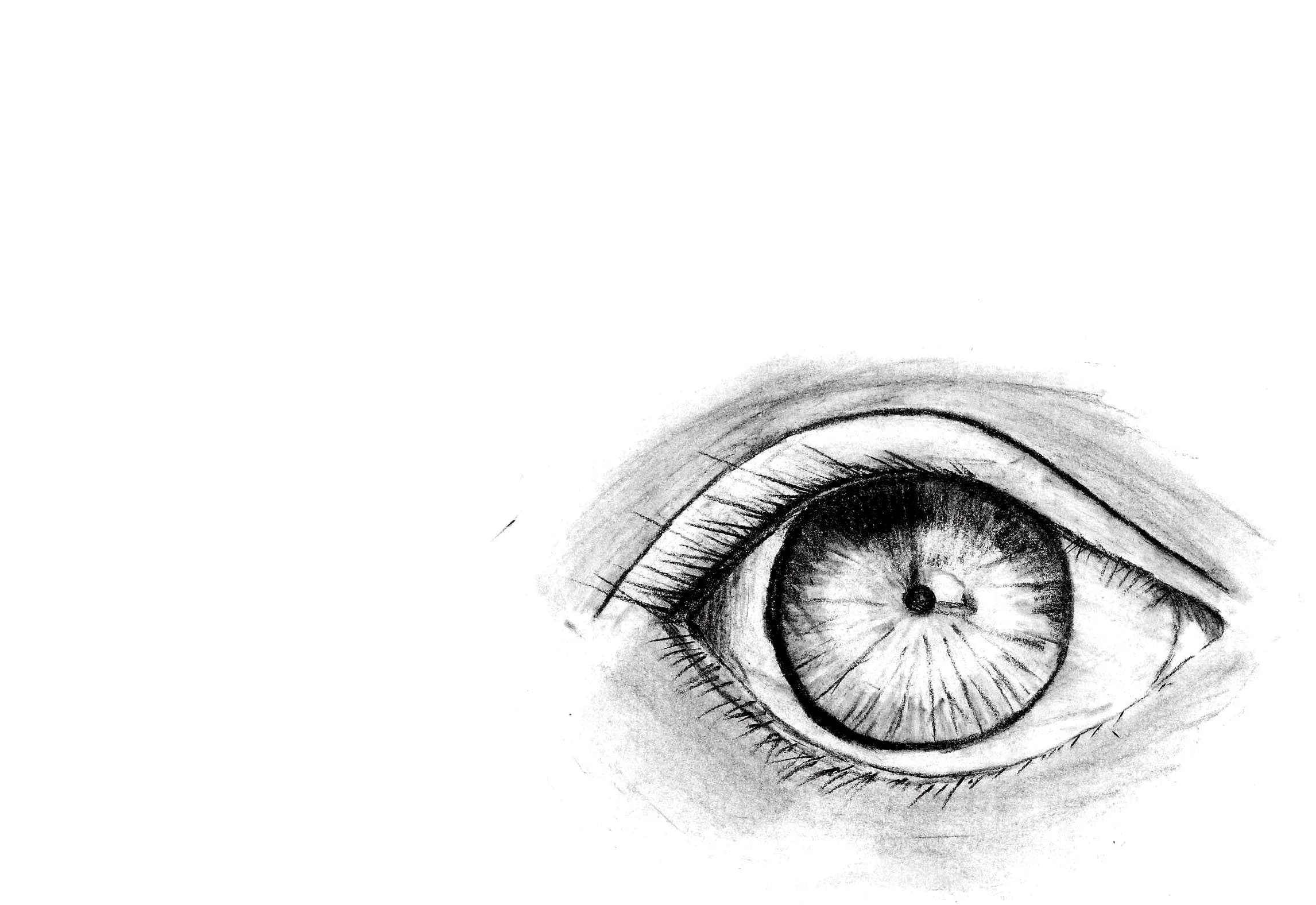 Pencil drawing of an eye