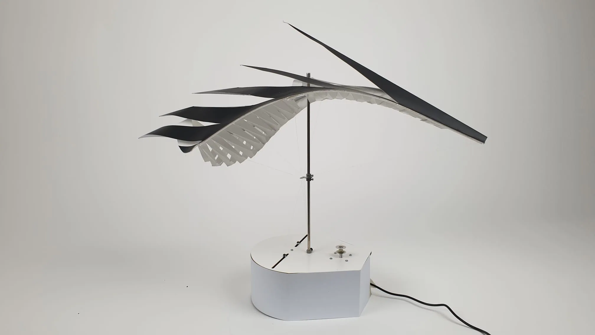 Kinetic table sculpture: a black-and-white winged form on a white base