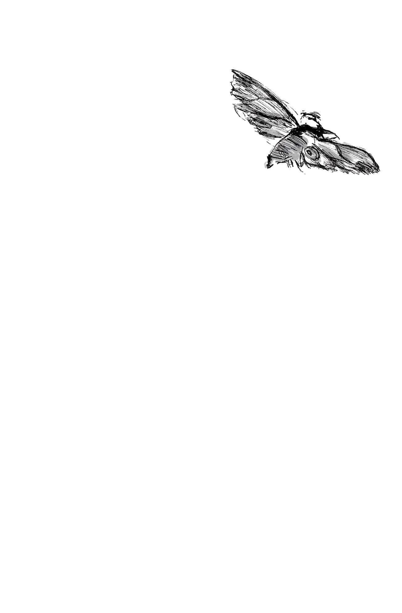 Fine illustration of a small moth in the corner of a white page