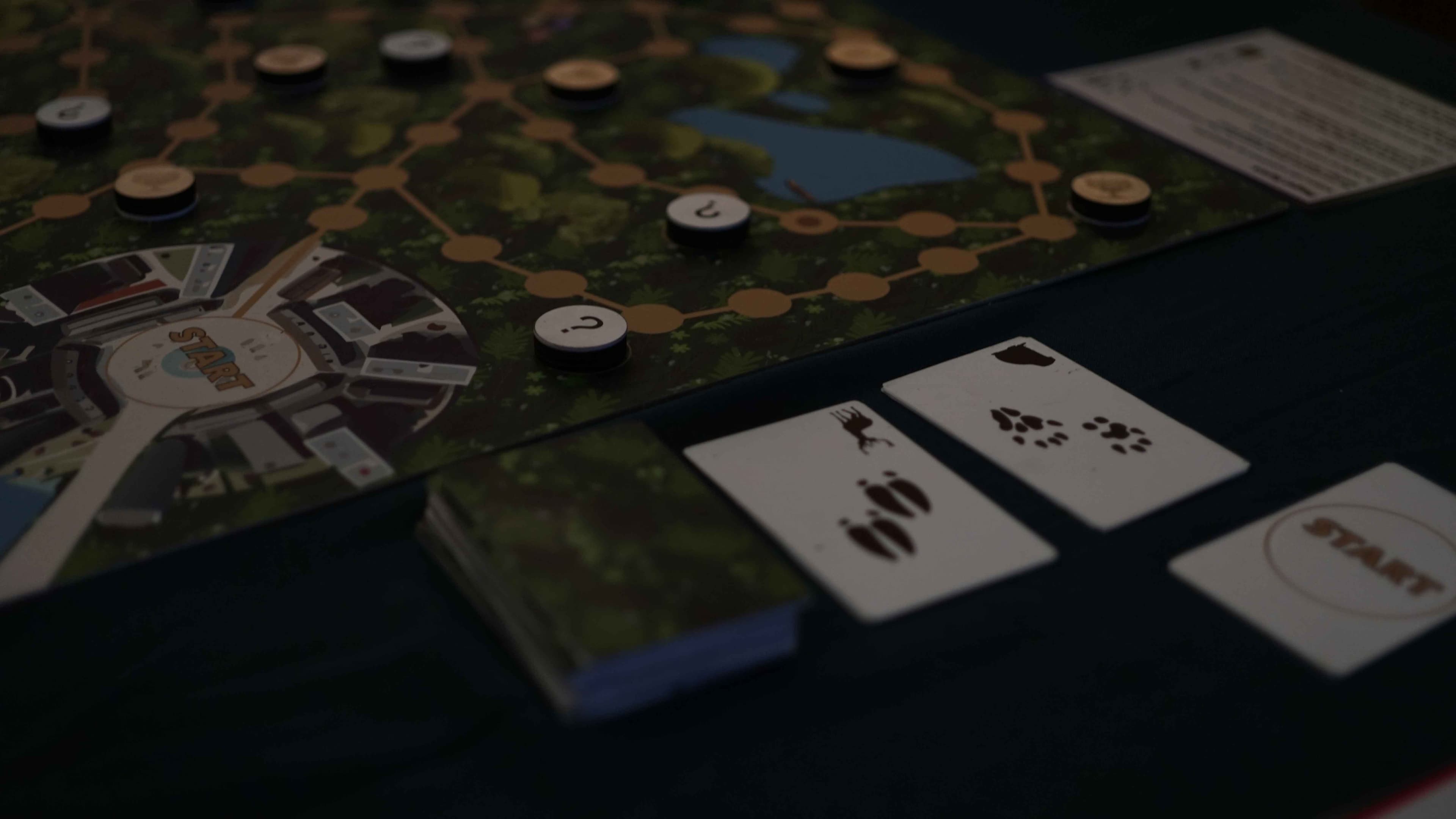 Animal Track board game